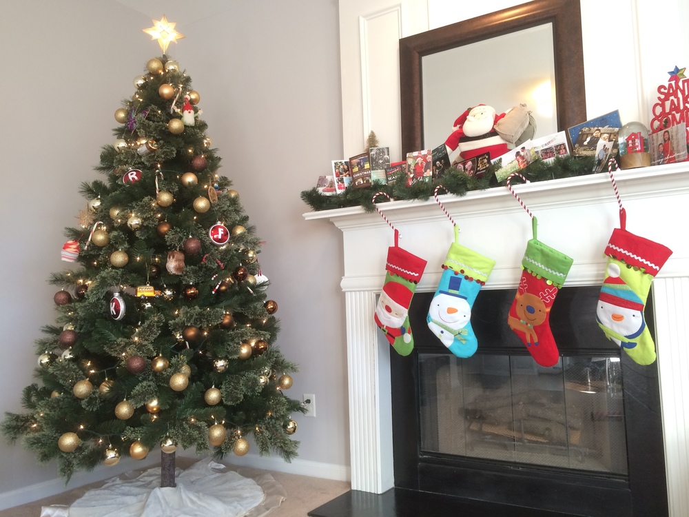 Shark Tank The Christmas Tree Hugger Fails to Get A Deal