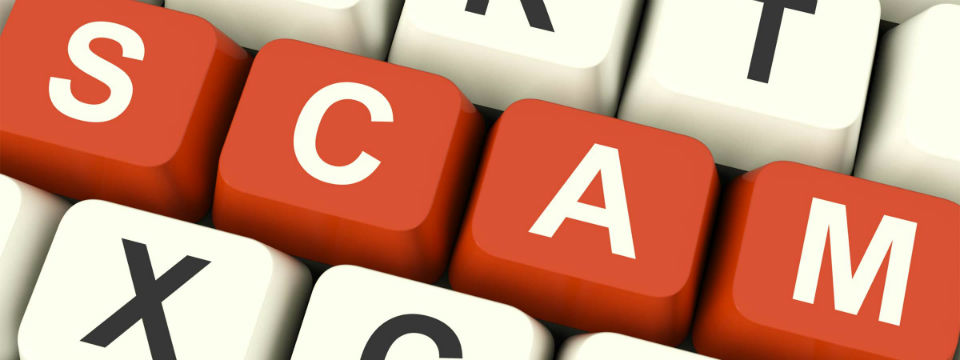 Avoid SEO Scams