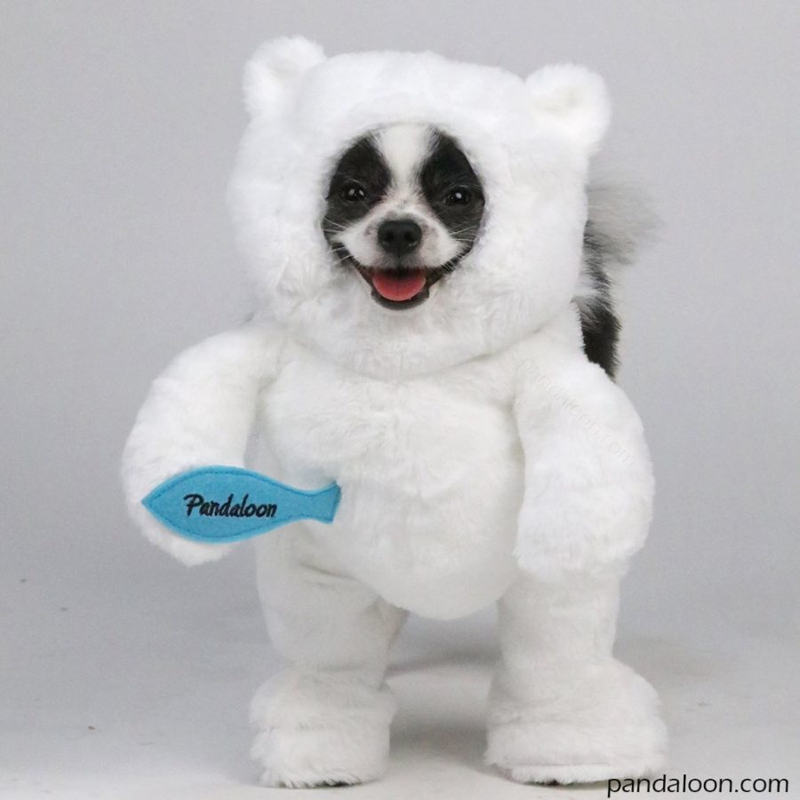 panda dog outfit