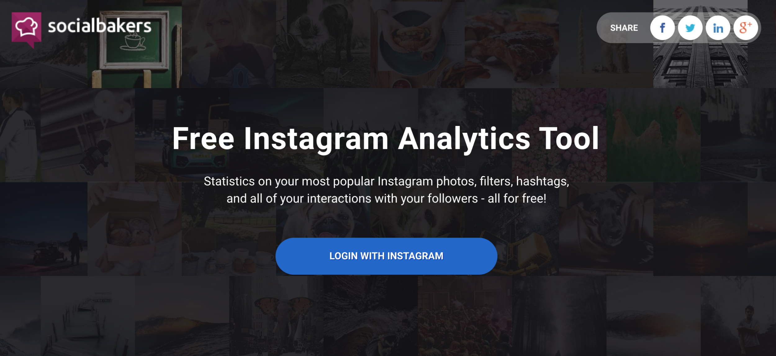 socialbakers - instagram analytics tools