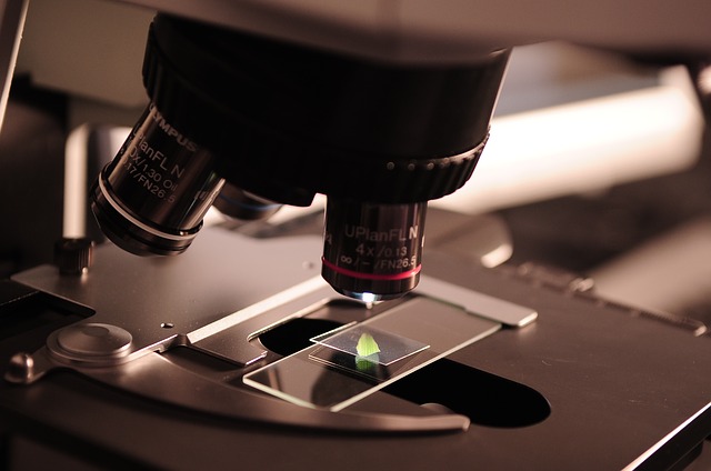 scientist photo