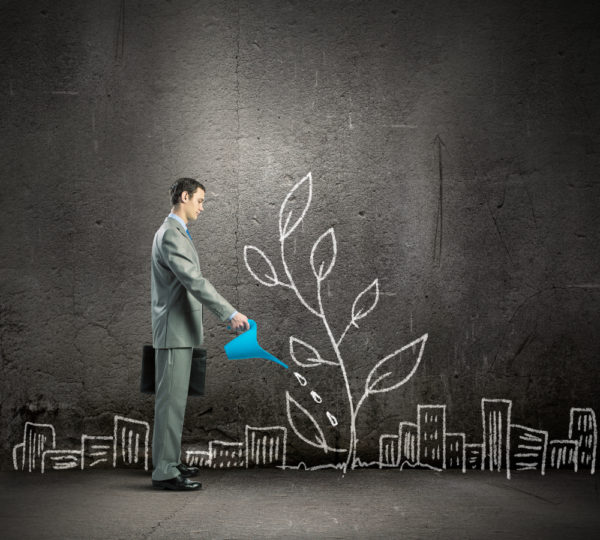 Small Business Growth