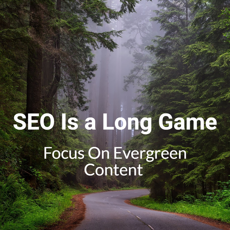 SEO is a long game | redwood forest