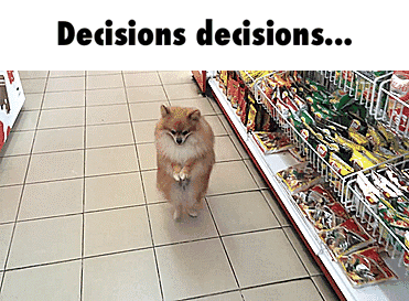 dog-dicesions.gif