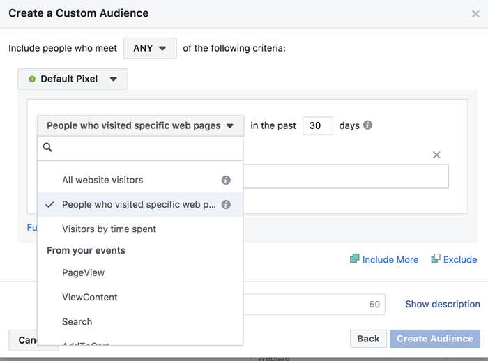 facebook ads custom audience people who visit from specific pages