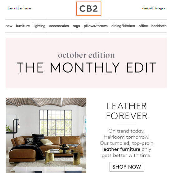 CB2 Retail Email Marketing