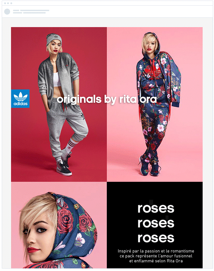 Adidas – Targeted Email Marketing by Gender