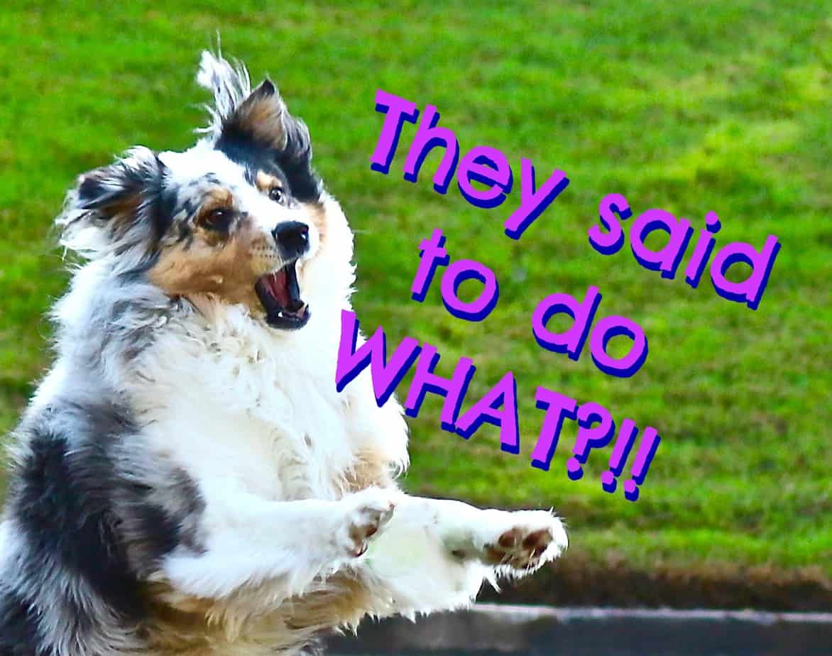 Content marketing best practices: The things you think are true
