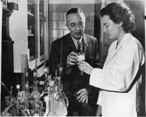 Hypothesis-testing 2