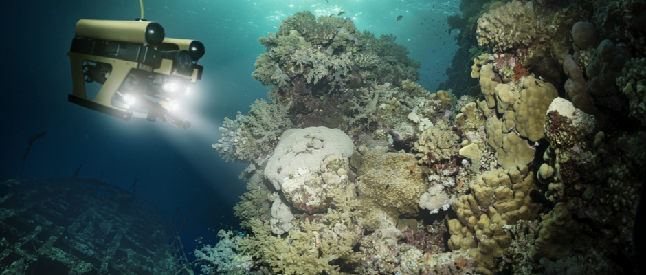 underwater robot in coral reef