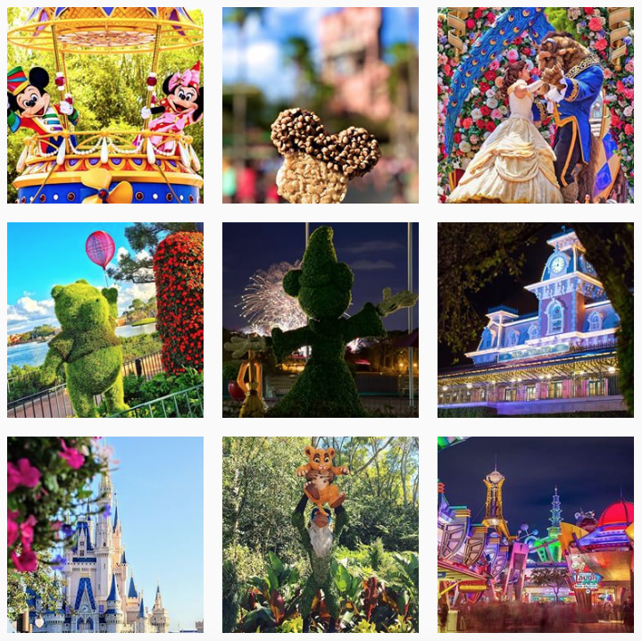 how-many-times-a-day-should-i-post-on-instagram-entertainment-and-travel-walt-disney-world-example