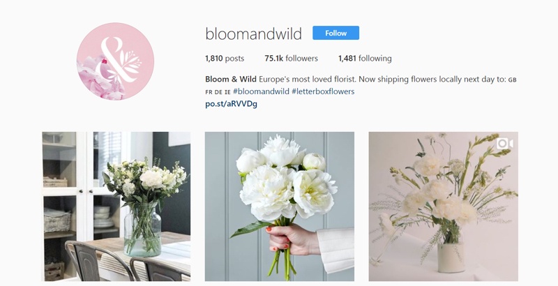 bloom and wild instagram campaign