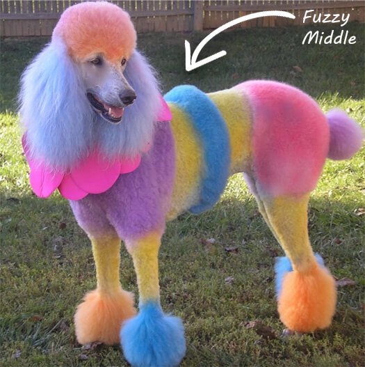 fuzzy middle