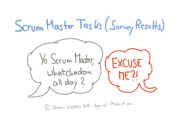 Scrum Master Duties, Serving a Single Team (Survey Results) — Age of Product