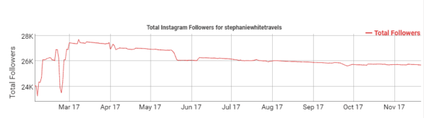 Instagram Fake Followers