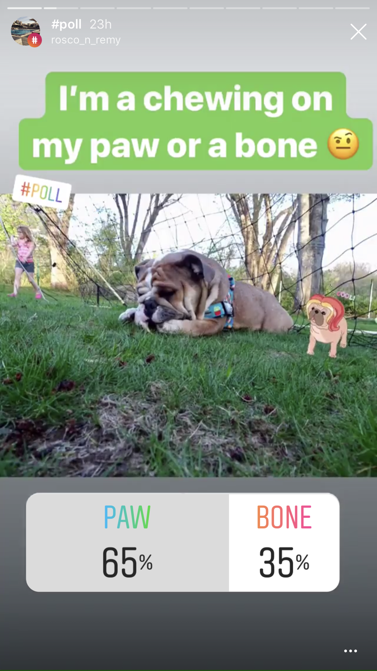instagram-stories-poll-your-followers