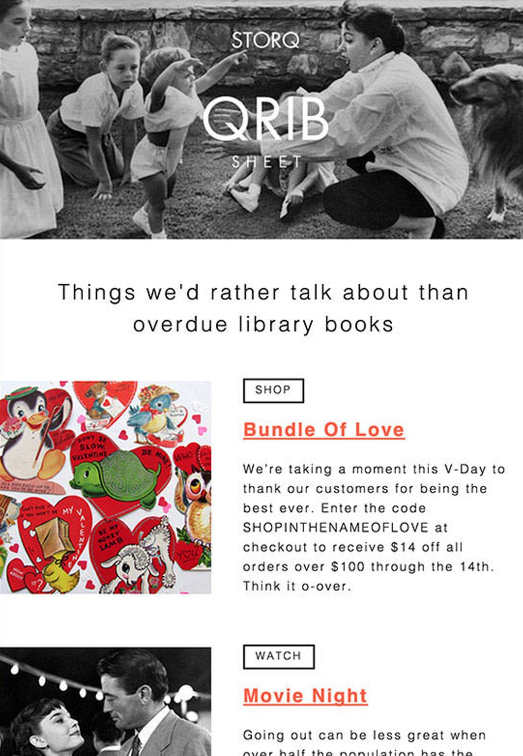 Storq – Email Newsletter – Product Promotio