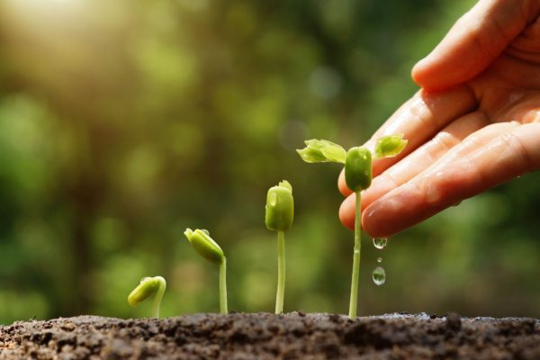 The Evolution of a Recruitment Consultant