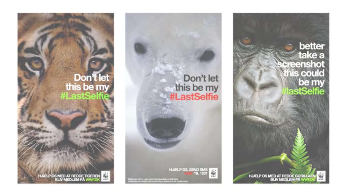 short-animal-ads-wwf-snapchat