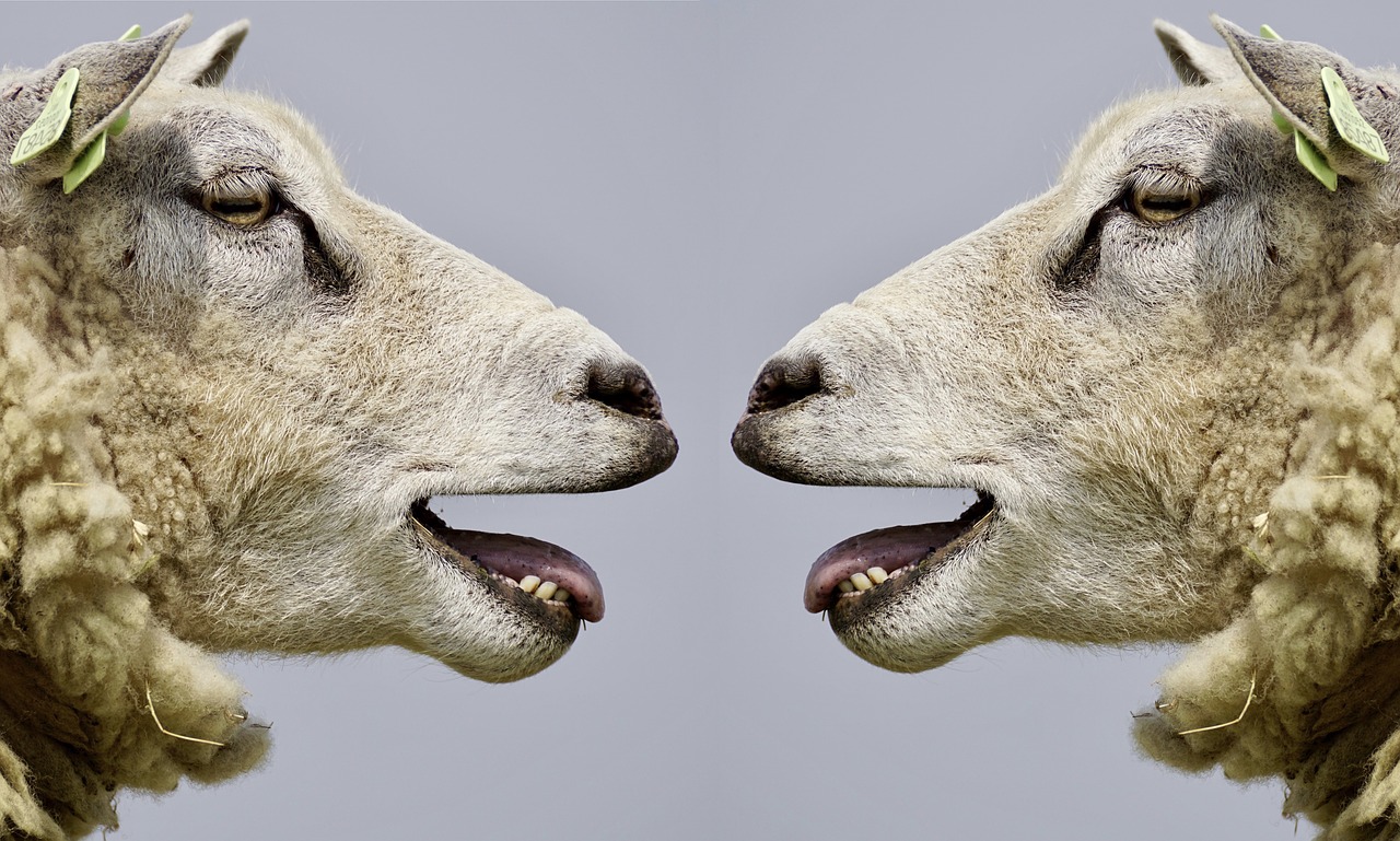 Communication