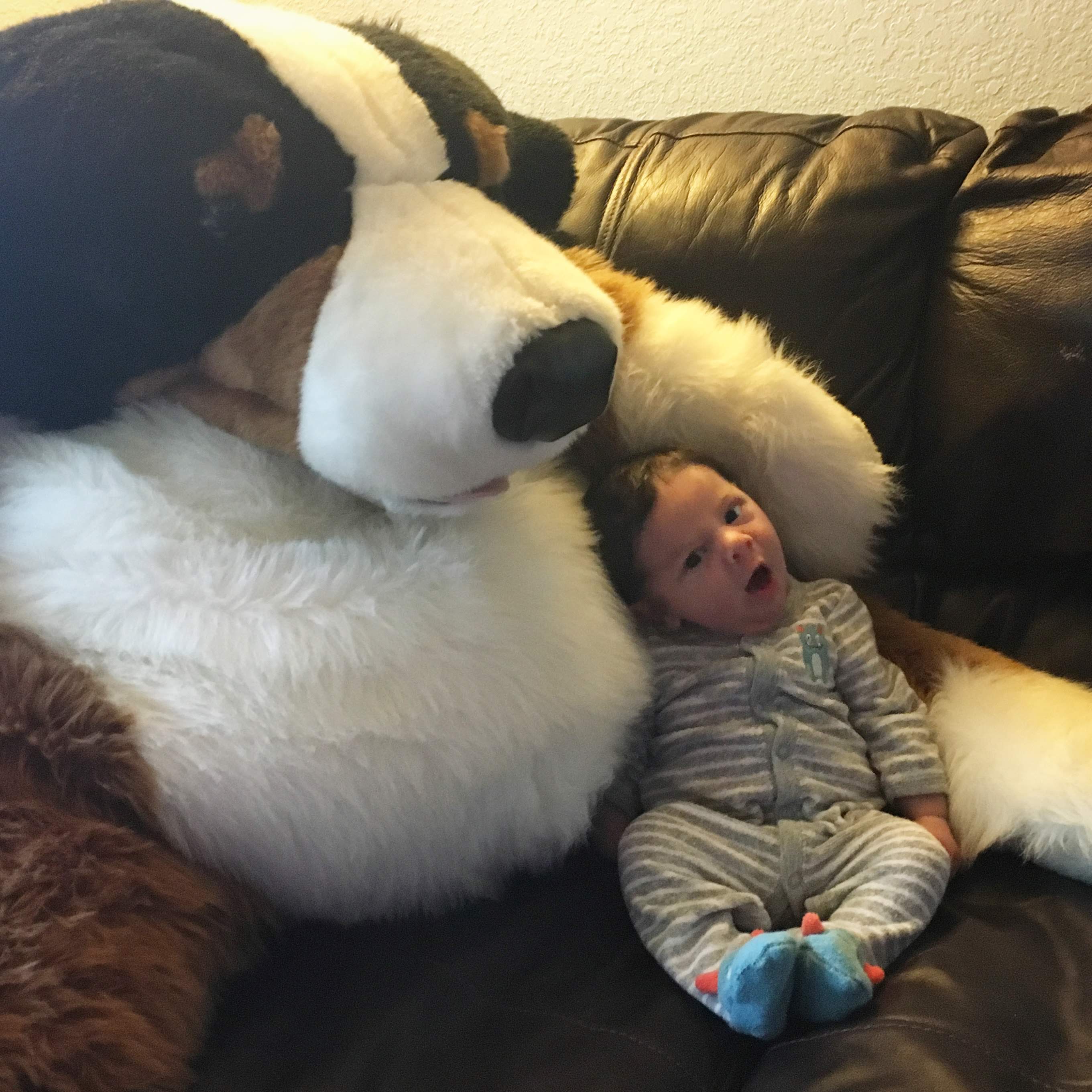 A picture of a baby with a giant stuffed dog.