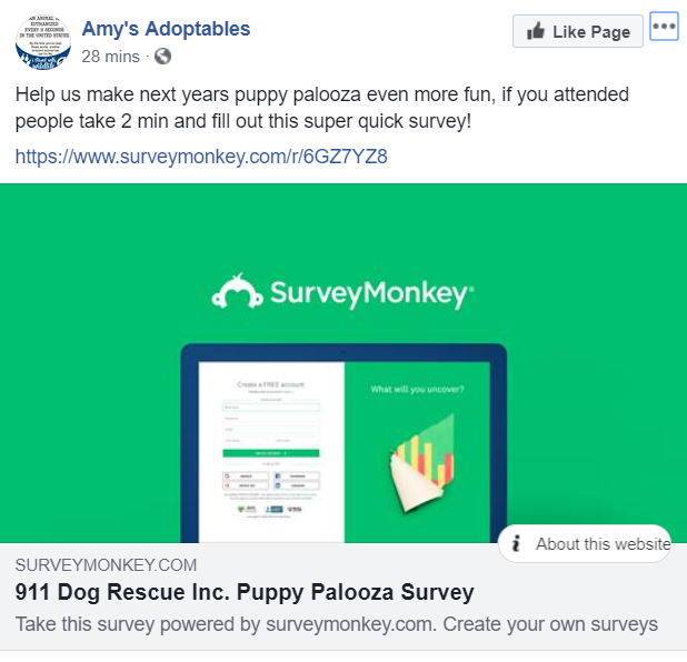 Amys Adoptables shares a customer survey to recieve feedback on people who attended their puppy palooza event