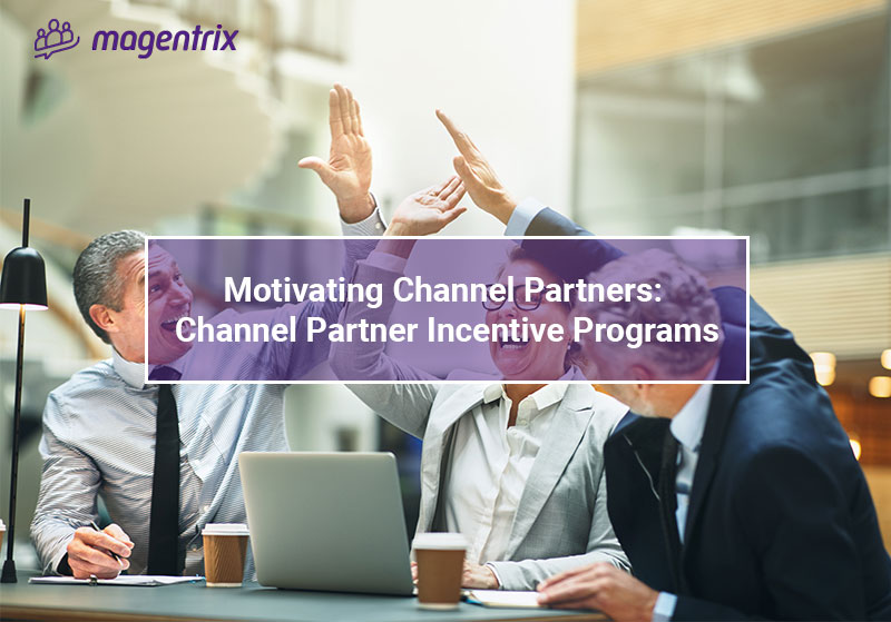 Motivating partners with channel partner incentive programs