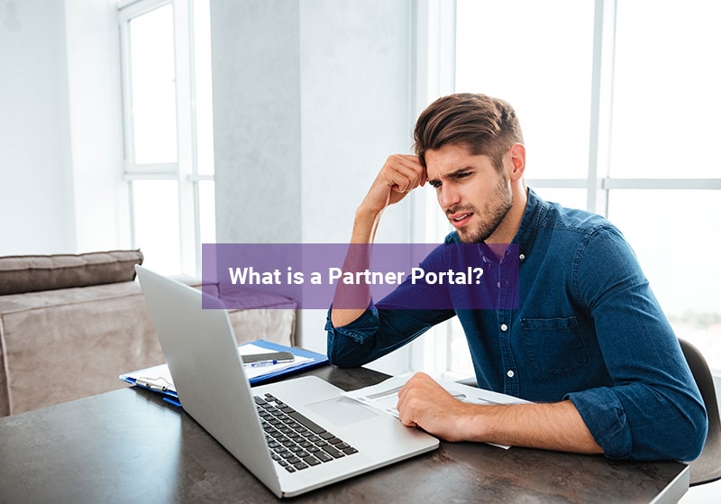 Channel manager thinking about partner portals