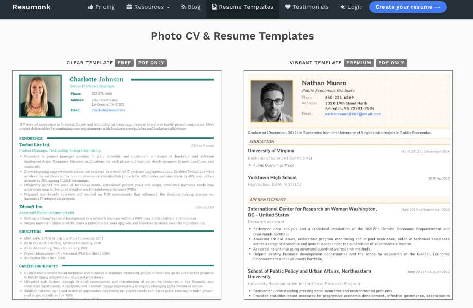 How Your Professional Resume Should Look A Like Example