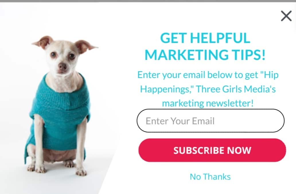 Digital Marketing Advice How To Avoid Rude Email Subscription Options
