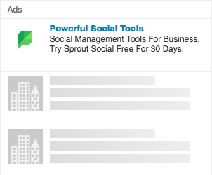 linkedin-interest-targeting-sprout-social-example