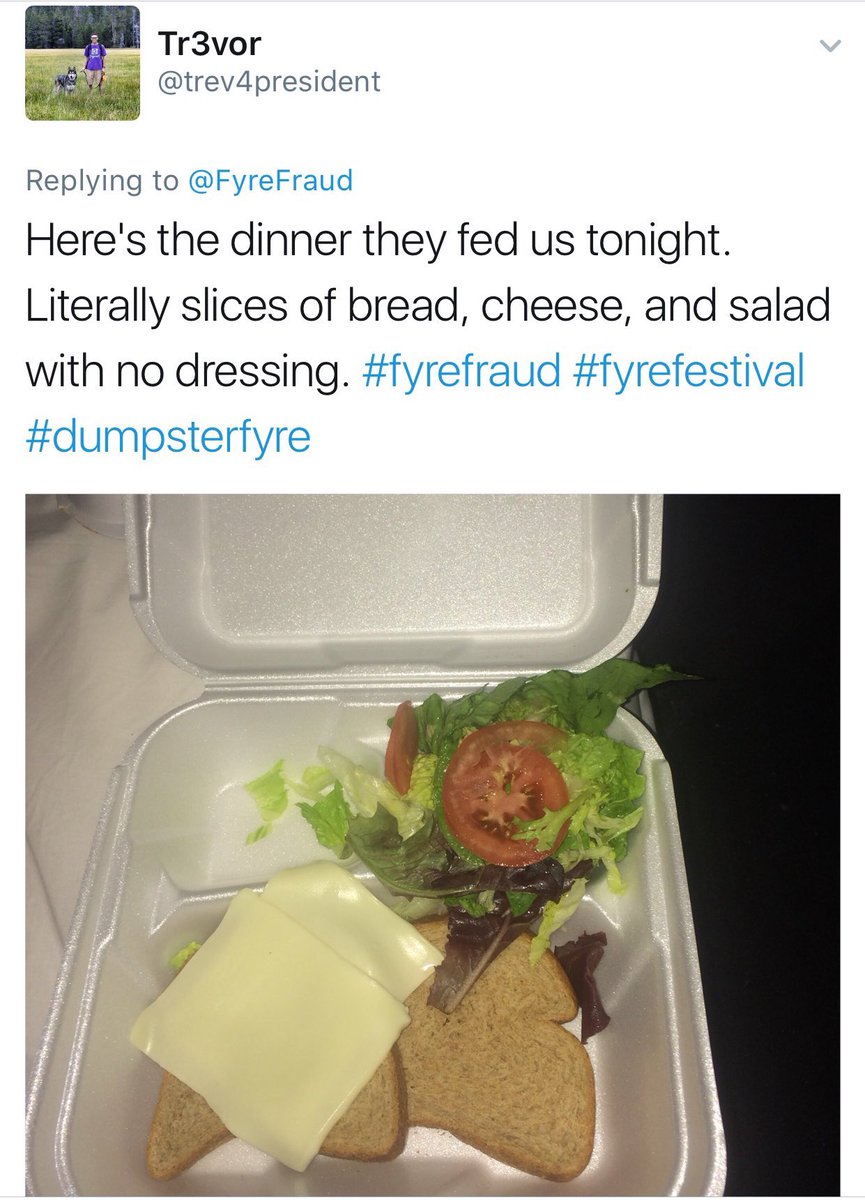 Image result for fyre cheese sandwich