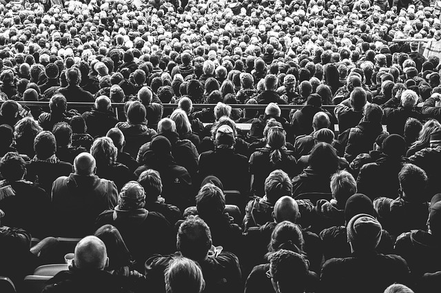 audience 828584 640