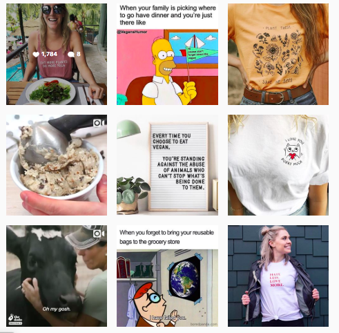 Wholesome Culture’s social media content strategy includes empowering quotes, images of animals, Vegan recipes and tips those interested in adopting a Vegan and eco-friendly lifestyle.