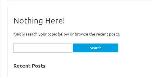 Page not found page
