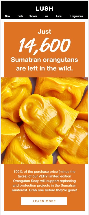 lush email marketing