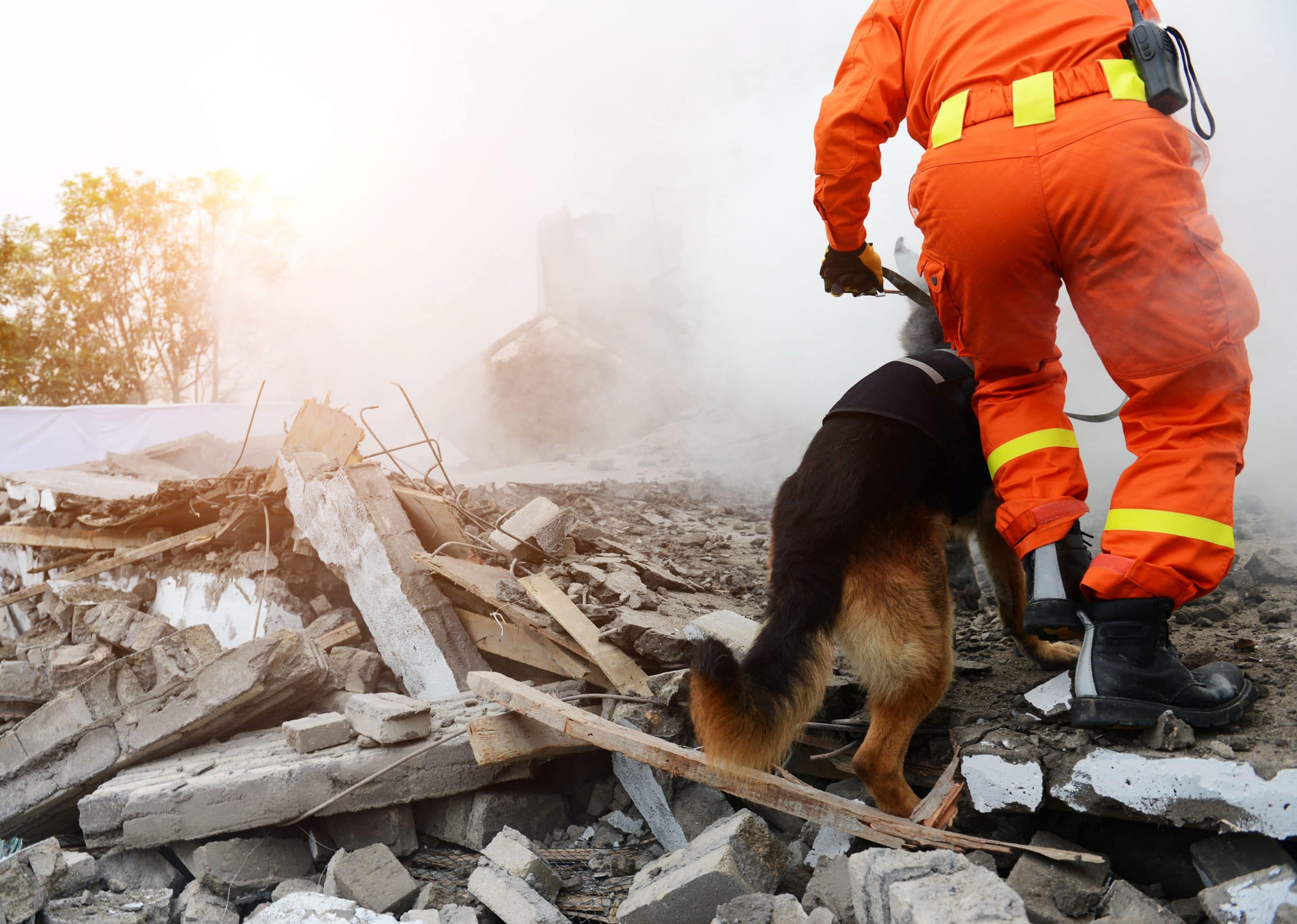 A search and rescue man and dog walking over rubble. 