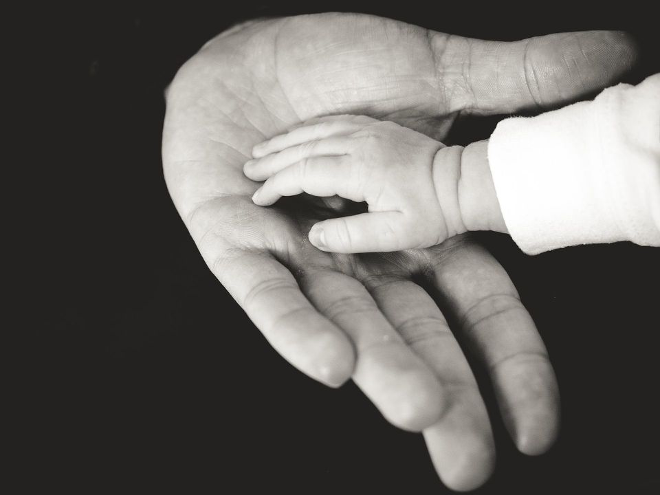 Trusted