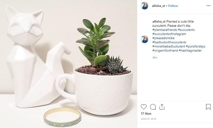 instagram hashtag post with succulents