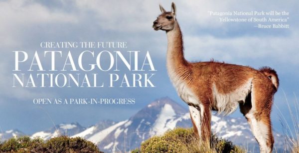Patagonias marketing as a key to owning and honing your brand identity