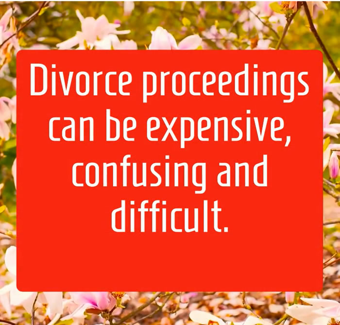 Family Law divorce workshop promo