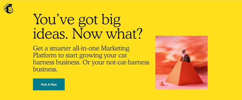 Mailchimp video marketing
