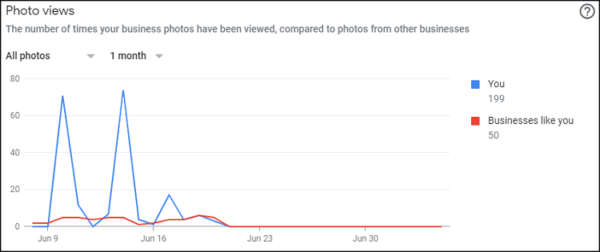 Google My Business Photo Views Report