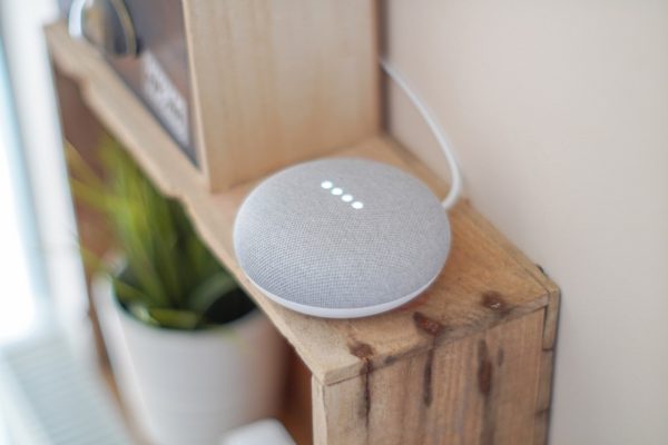 Google Mini Voice Assistant