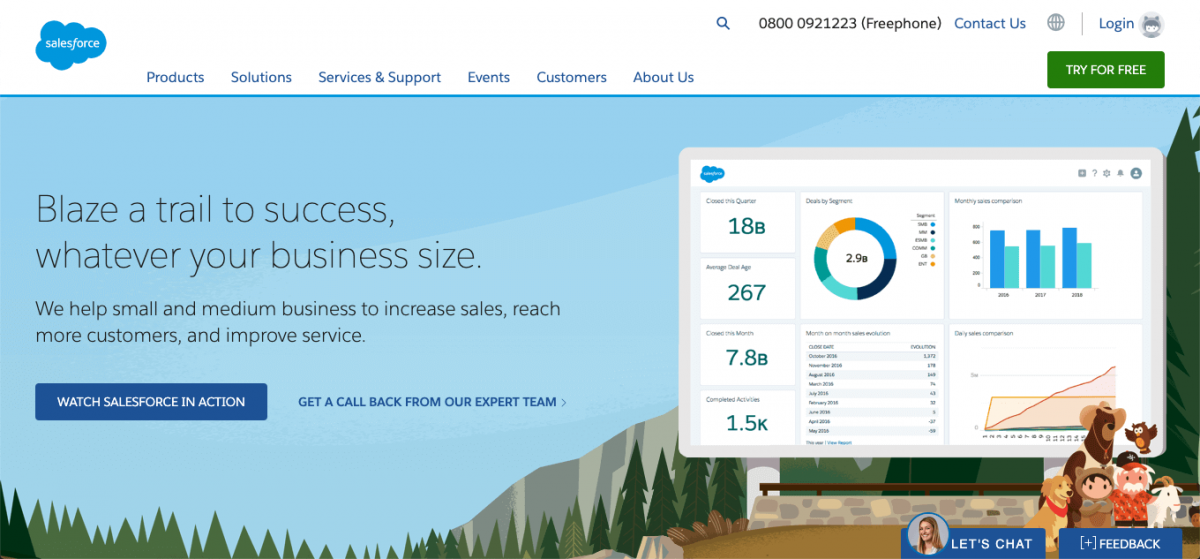 Salesforce Screenshot