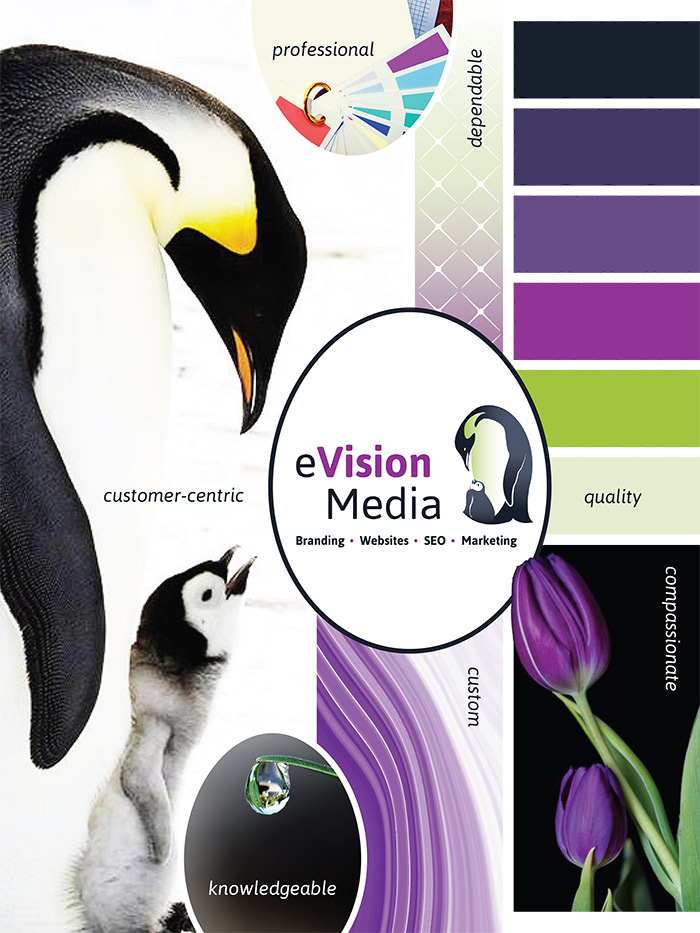 eVision Media brand guide