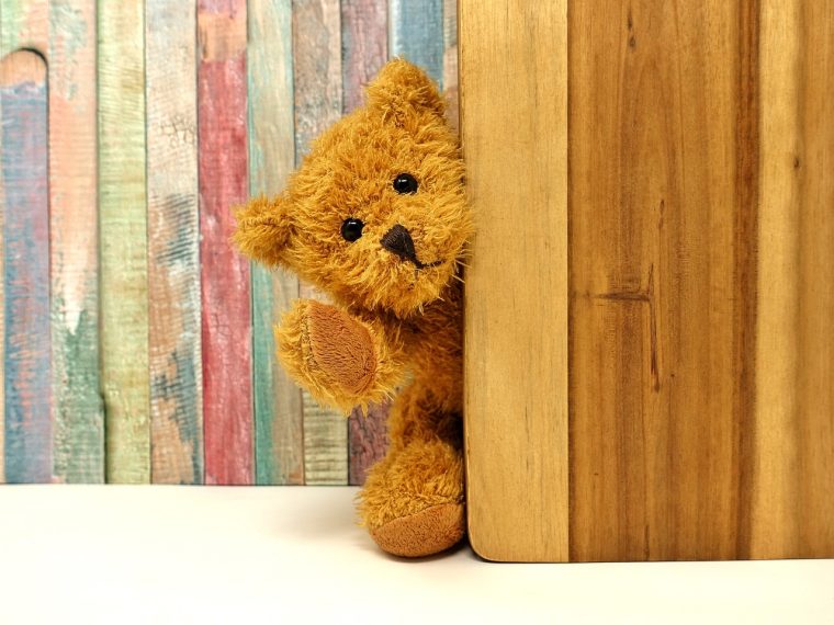 teddy bear 