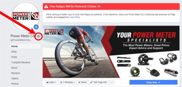 Facebook Business Page Snapshot