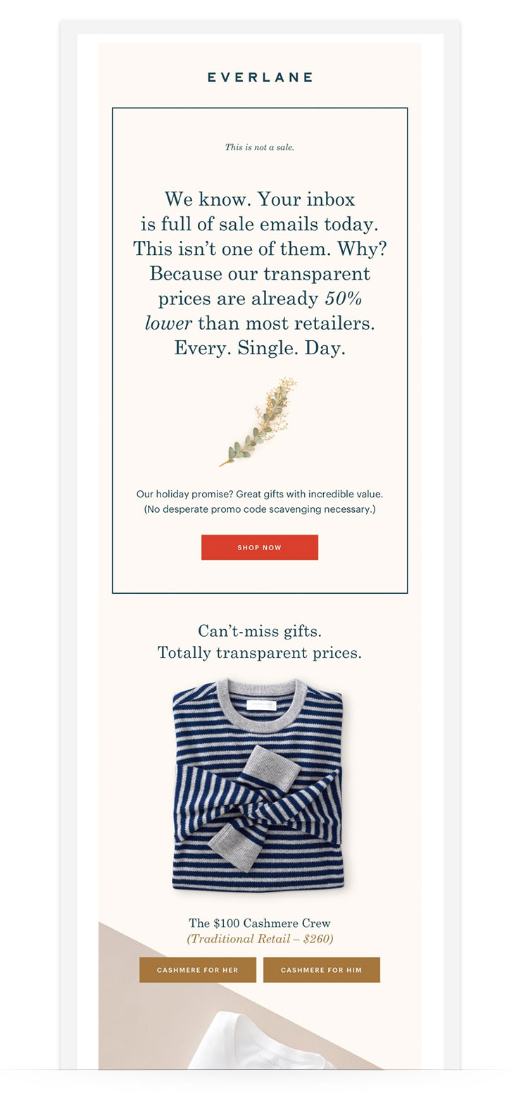 Cyber Monday Email Everlane