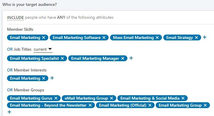 target audience example on LinkedIn